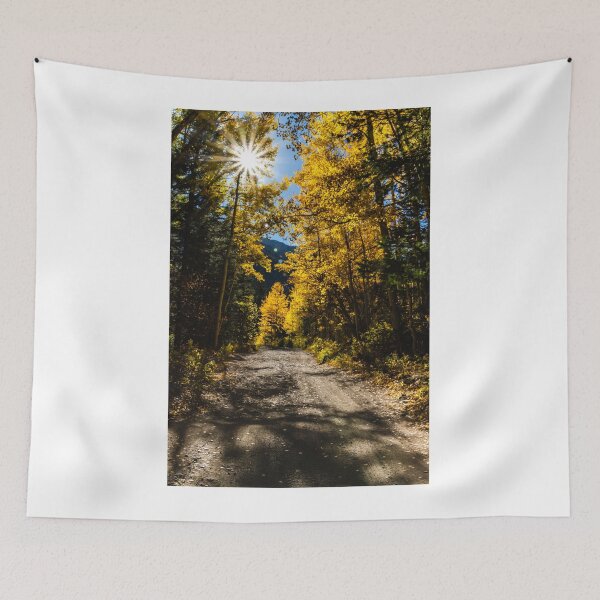 Item preview, Luminous Aspens designed and sold by nbrandsberg.