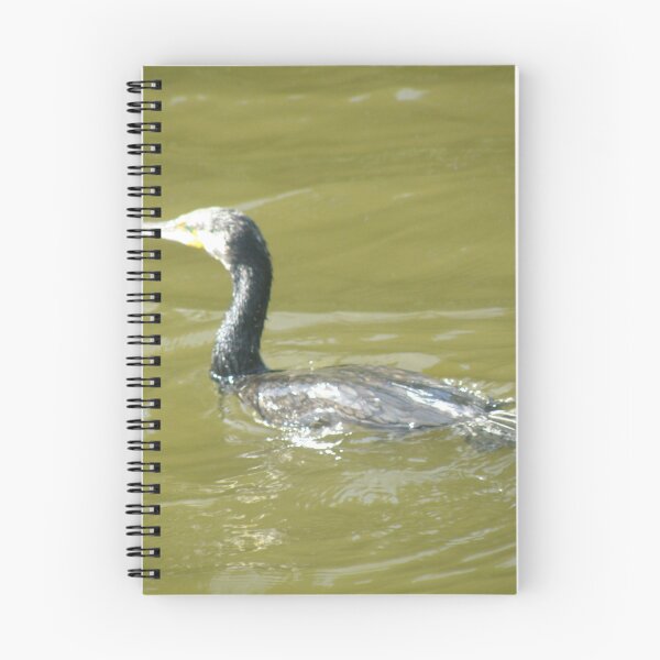 Item preview, Cormorant Swimming on a Sunny Day Photograph designed and sold by naturegallery.