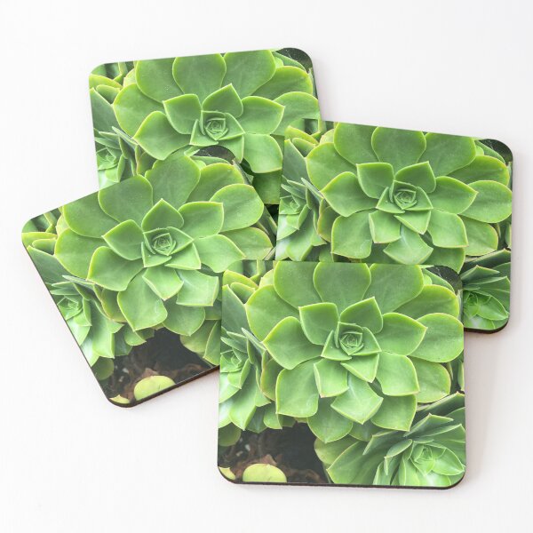 Item preview, Flower-shaped succulent plant in Southern California designed and sold by offdutyplaces.