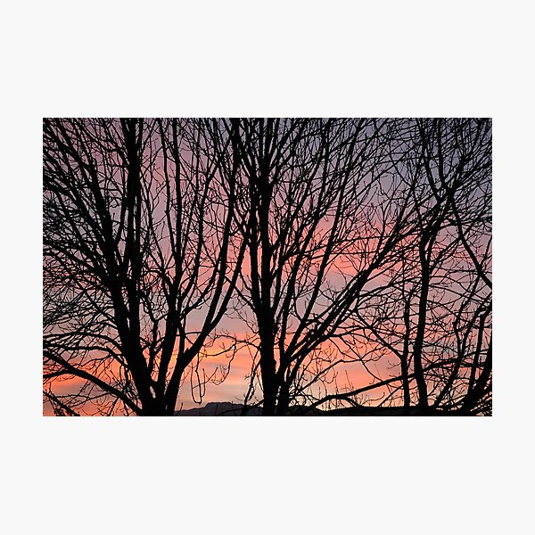 Item preview, Sunset Silhouettes designed and sold by cuilcreations.