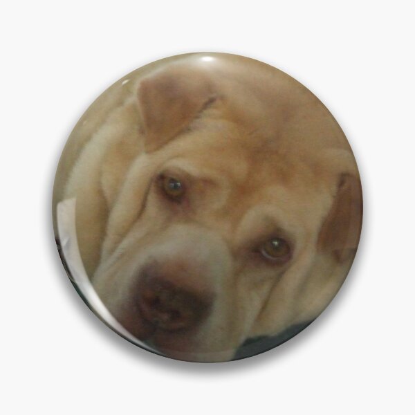 Item preview, You Woke Me Because..... designed and sold by BarbBarcikKeith.