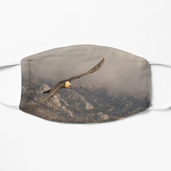 Bearded Vulture in Flight Flat Mask