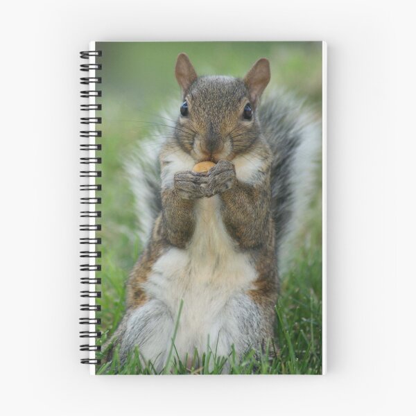 Item preview, Cheeky squirrel  designed and sold by LEW2323.