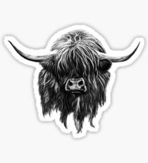 Scottish Highland Cow Sticker
