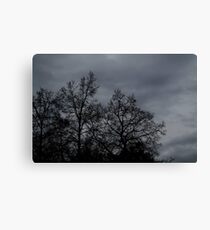 Desolate Canvas Print