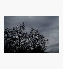 Desolate Photographic Print