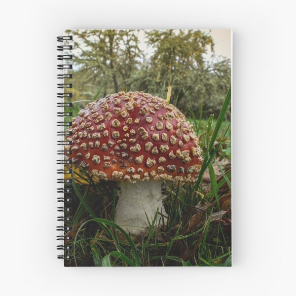 Item preview, Wild Mushroom #4554RRF designed and sold by Charles & Patricia   Harkins ~ Picture Oregon.