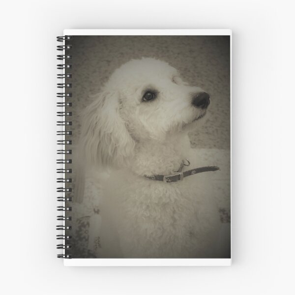 Item preview, Goldendoodle Portrait (Sepia) designed and sold by ZiffyPhotos.