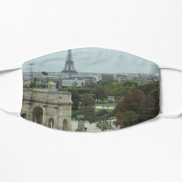 Paris View From the Louvre Museum Mask
