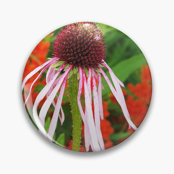 Item preview, Coneflowers and Butterfly weed 7605 designed and sold by rvjames.