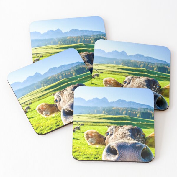 Item preview, Cows in a Field with Cow Close-Up designed and sold by RockyPatch.