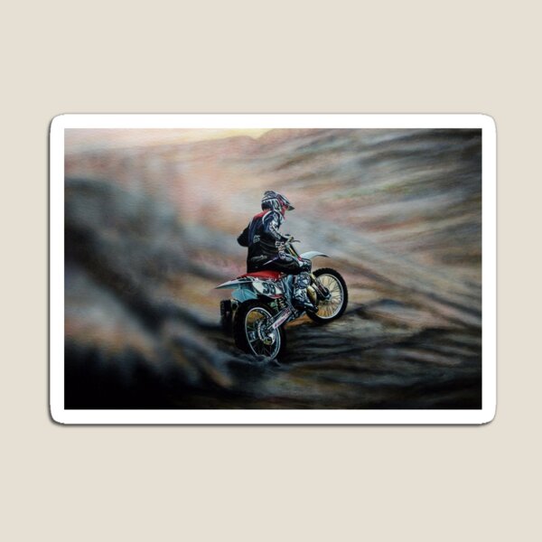 The Race II Magnet