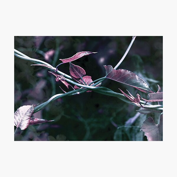 Leaping Hug Photographic Print