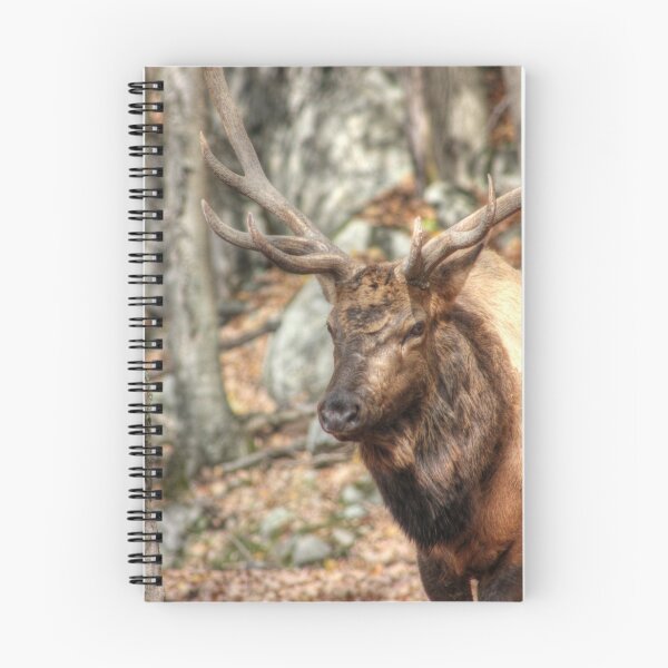 Item preview, Elk designed and sold by Vicki Spindler (VHS Photography).