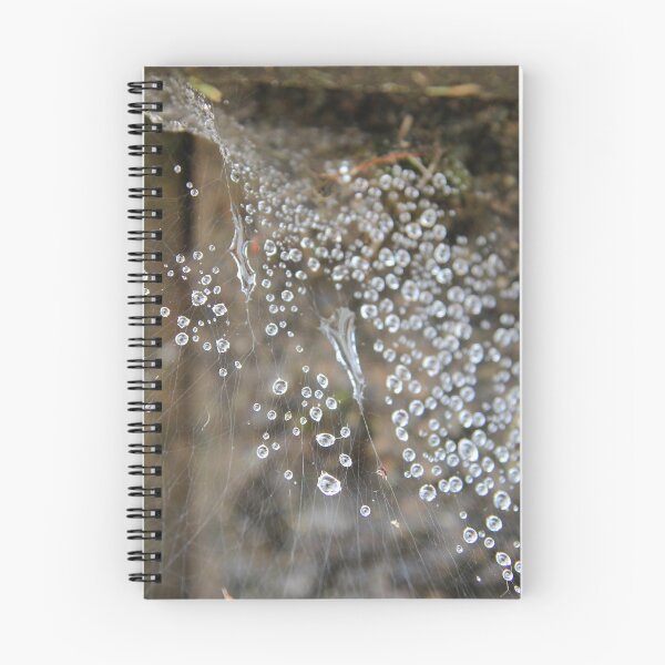 Item preview, Water Drops in the Web designed and sold by photosbyastra.