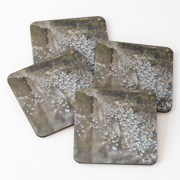Item preview, Water Drops in the Web designed and sold by photosbyastra.