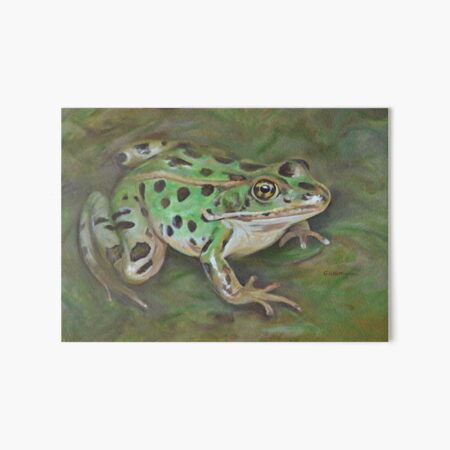 Northern Leopard Frog painting Art Board Print