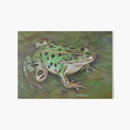 Northern Leopard Frog painting Art Board Print