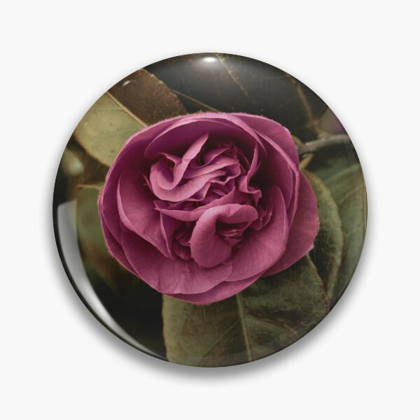 The Perfect Rose Pin