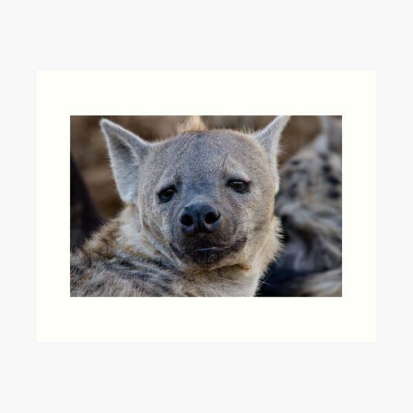 Item preview, Eyes Of Interest designed and sold by Michael Moss Photography.