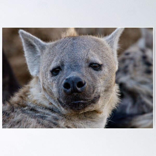 Item preview, Eyes Of Interest designed and sold by Michael Moss Photography.