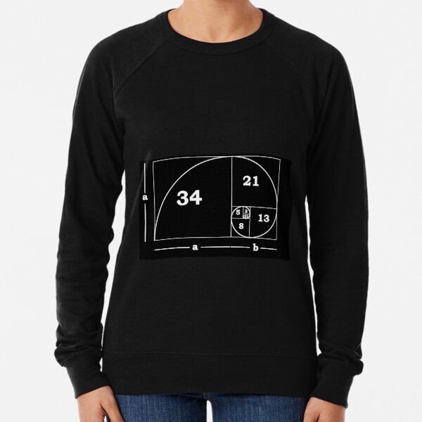 #Golden #Ratio #GoldenRatio #Design Ideas Fibonacci Spiral = 1.6180339887498948420 Lightweight Sweatshirt