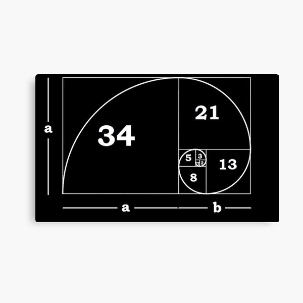 #Golden #Ratio #GoldenRatio #Design Ideas Fibonacci Spiral = 1.6180339887498948420 Canvas Print