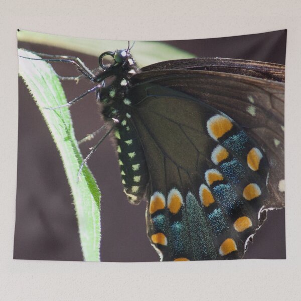 Item preview, Black Swallowtail  designed and sold by Jacquelie.