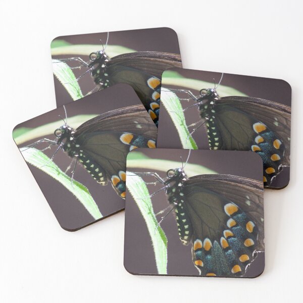 Item preview, Black Swallowtail  designed and sold by Jacquelie.