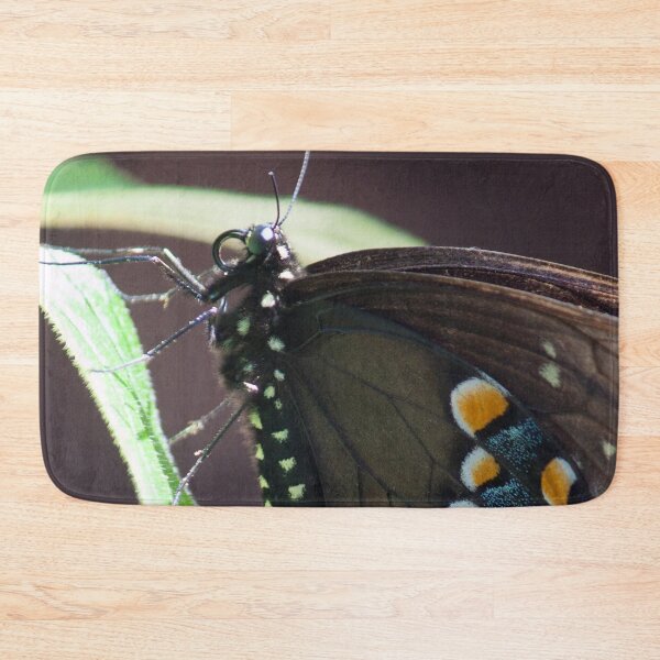 Item preview, Black Swallowtail  designed and sold by Jacquelie.