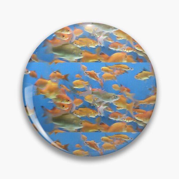 Artikelvorschau, Goldfisch-Panorama entworfen und verkauft von mark-bugs-org.