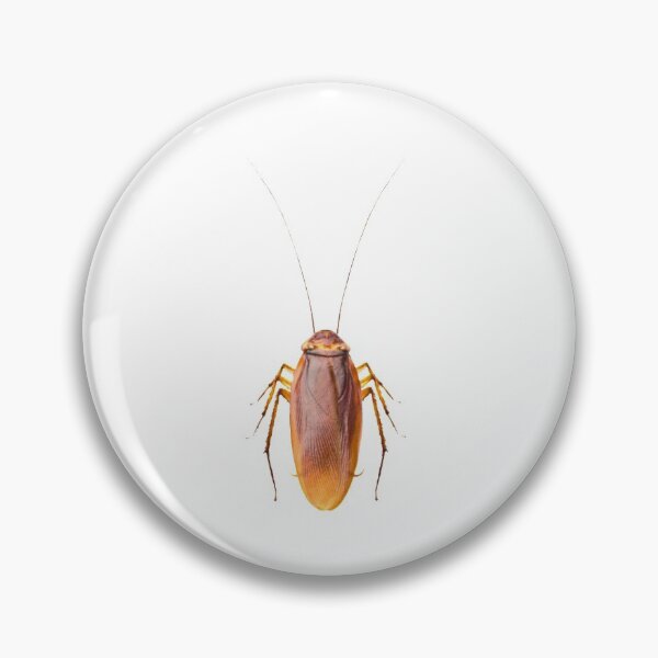 Item preview, Cockroach designed and sold by Kristina Gale.