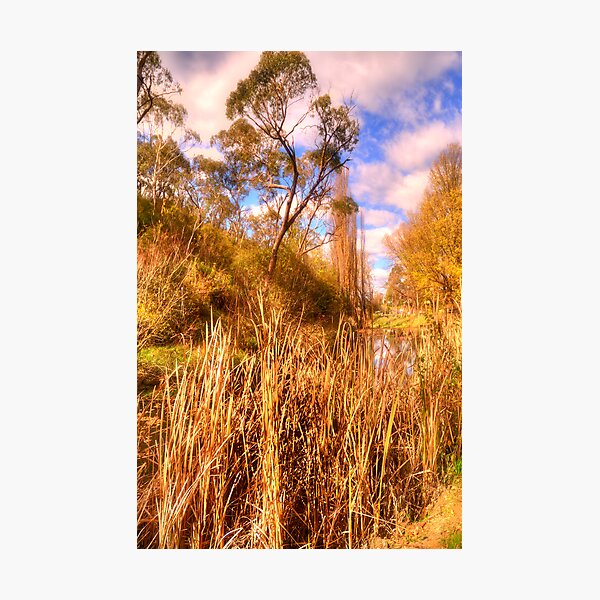 Item preview, Seasons - Rockley, NSW, Australia - The HDR Experience designed and sold by Salieri1627.