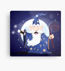 Wizard Metal Print