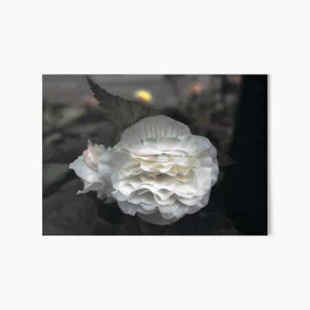 Evening's Peace Art Board Print