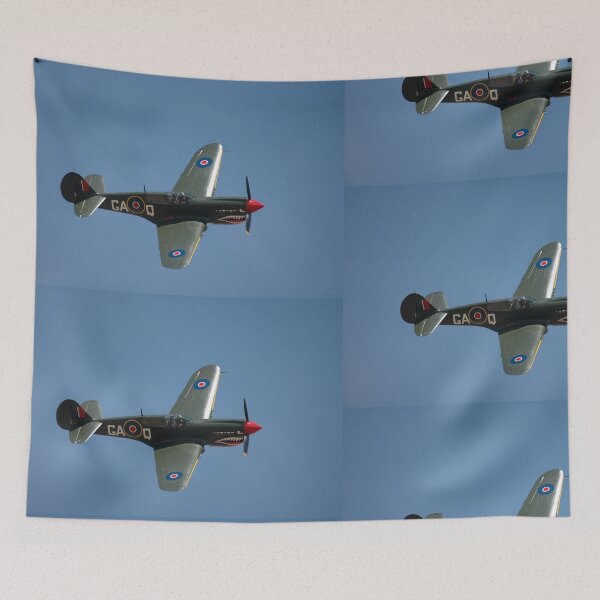 Item preview, Kittyhawk Flypast @ Temora Airshow 2008 designed and sold by muz2142.