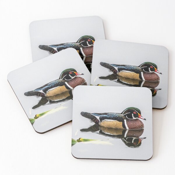 Item preview, Wood Duck Reflecting  designed and sold by KennyBImages899.