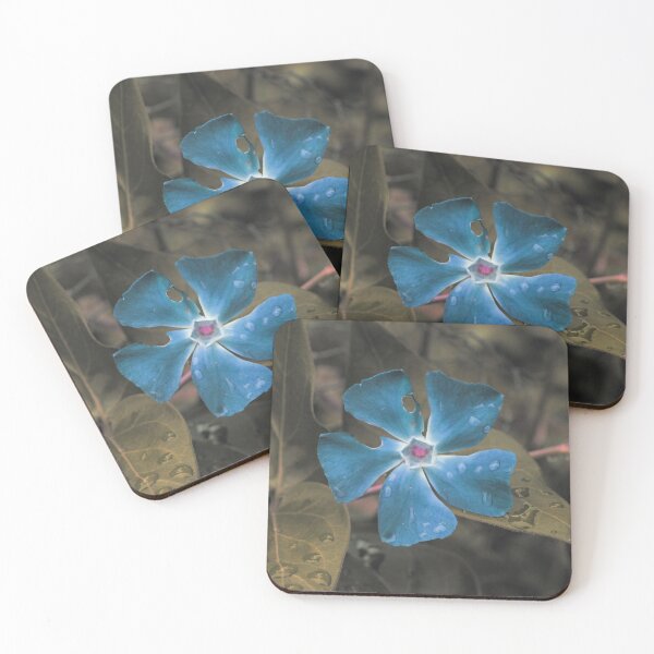 Periwinkle Pinwheel Coasters (Set of 4)