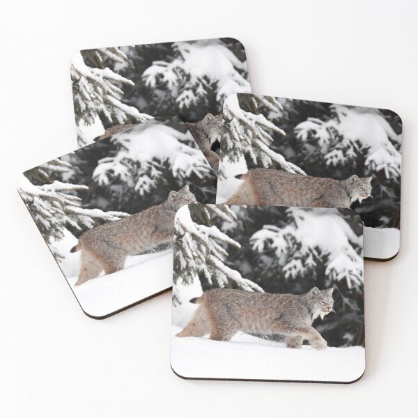 Item preview, Canada Lynx In Action designed and sold by mlorenz.
