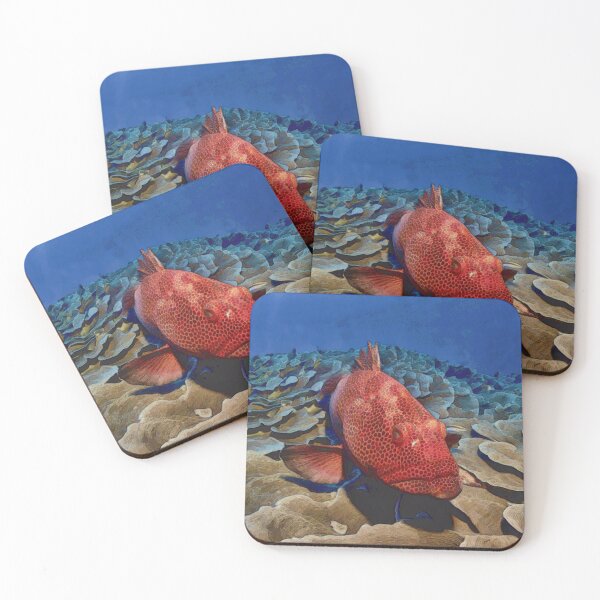 Item preview, Grouper Fish On Coral designed and sold by Heathermarie321.