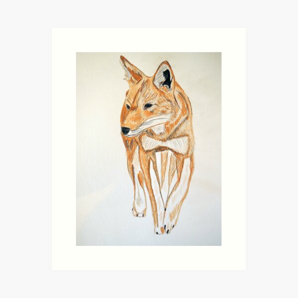 Item preview, Ethiopian Wolf designed and sold by CreativeEm.