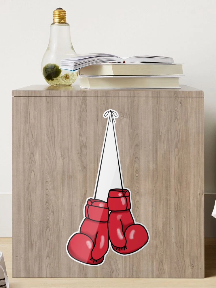  Boxing Glove Storage