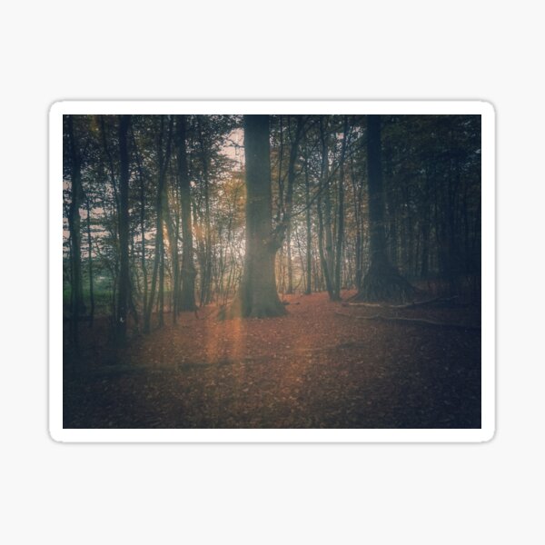 Hidden in the woods Sticker