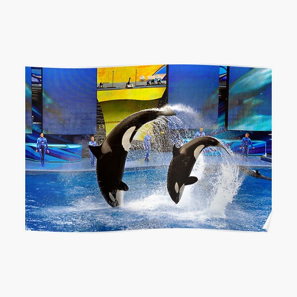Sea World, Orlando, Florida Poster