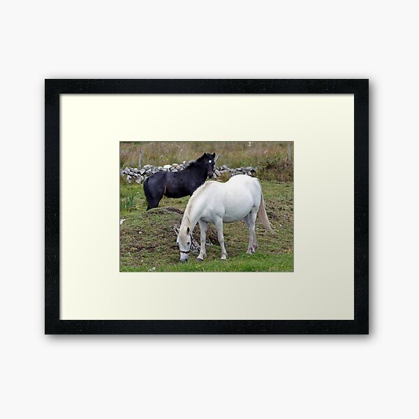 Connemara Pony Mare and Foal Framed Art Print