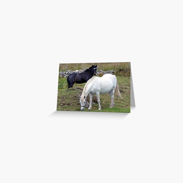 Connemara Pony Mare and Foal Greeting Card