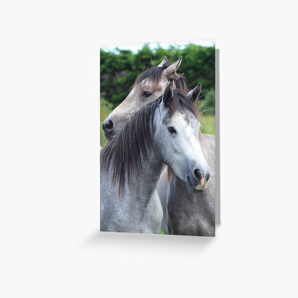 Best Friends size 3x4 Greeting Card