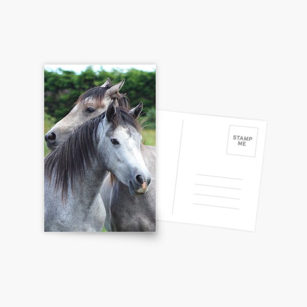 Best Friends size 3x4 Postcard