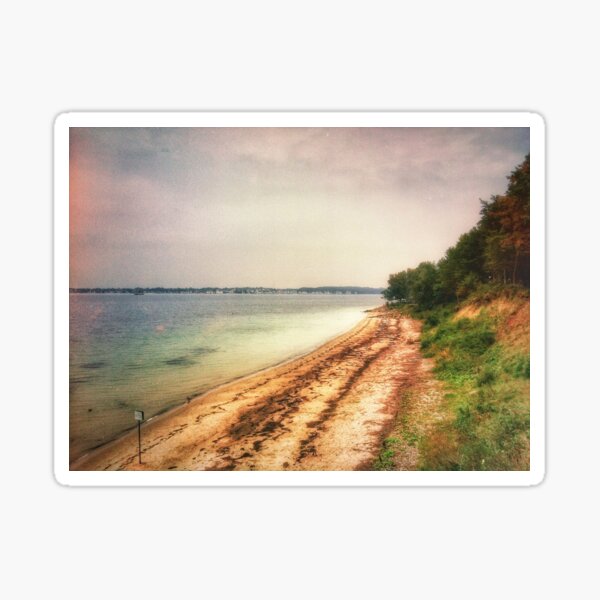 Scar of seagrass Sticker