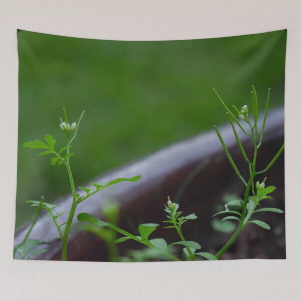 Item preview, A very cute plant designed and sold by LUSTICKNEY.